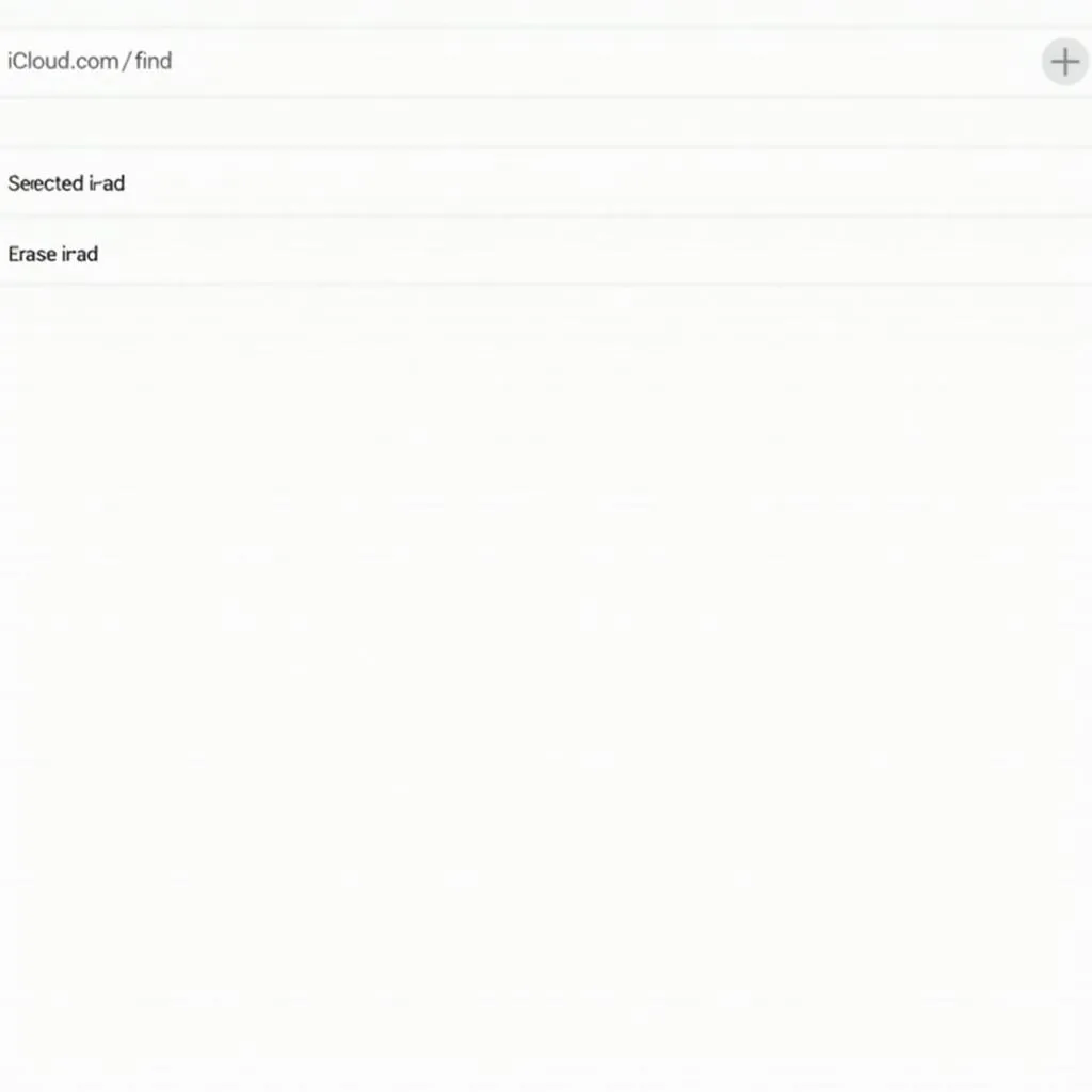 Find My iPad - Erase Option