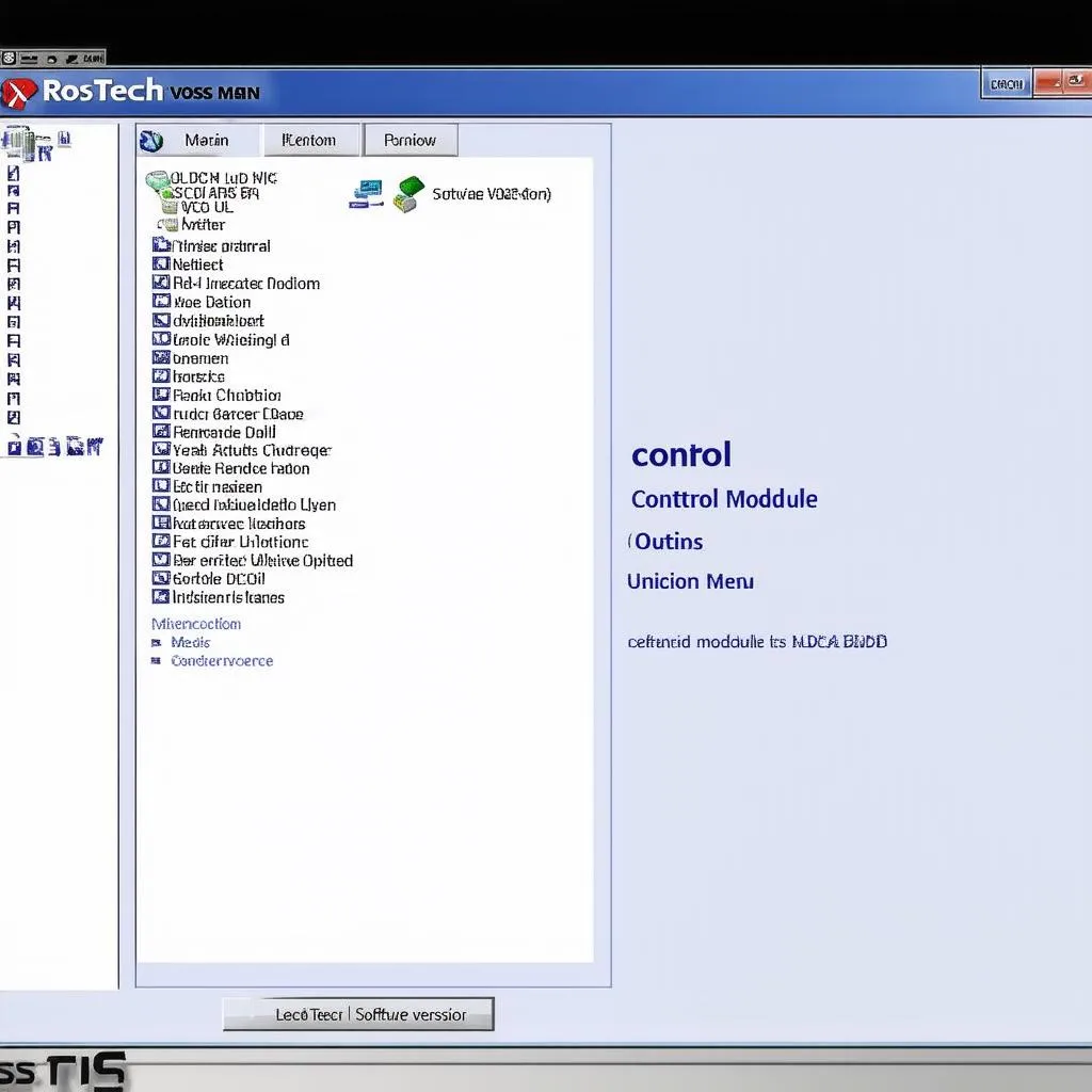 VCDS Software Interface