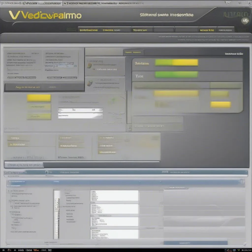 Vediamo Software Interface