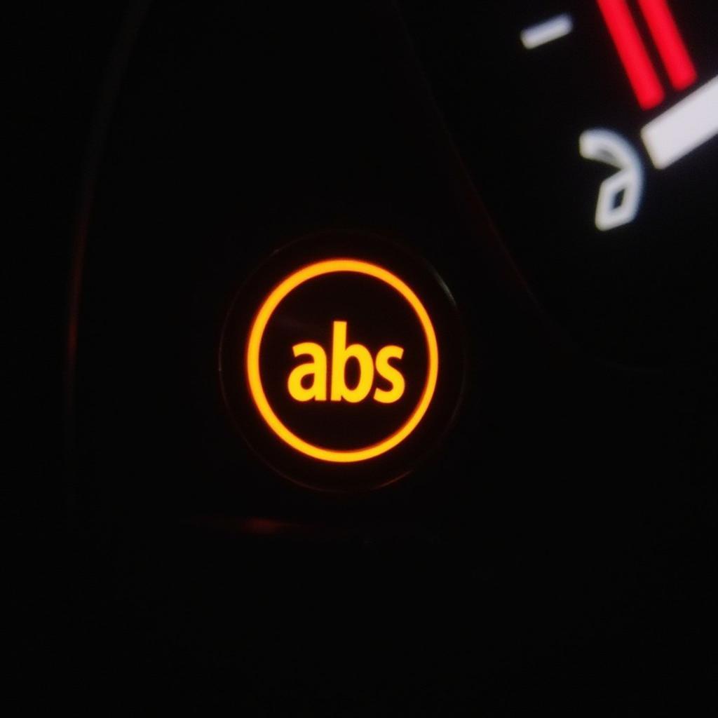 BMW ABS Warning Light