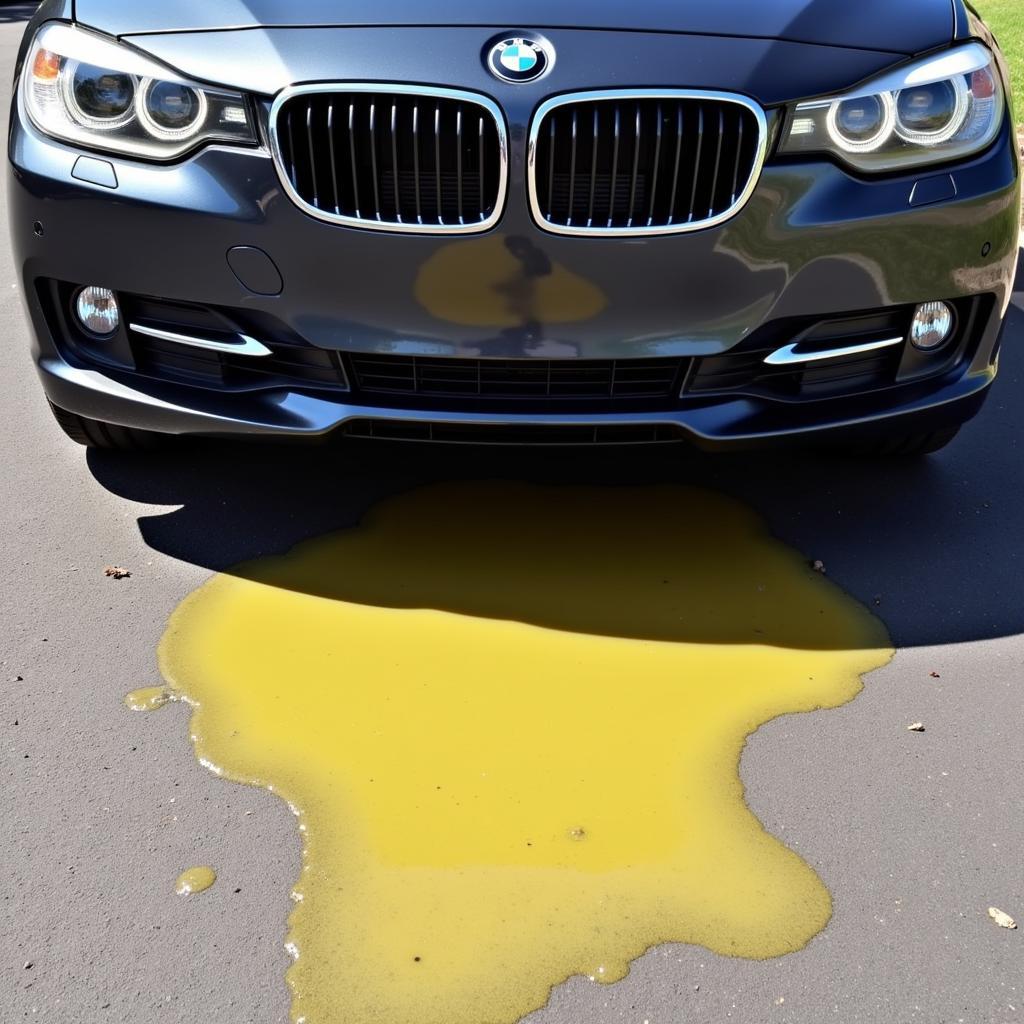 Brake fluid leak under a car