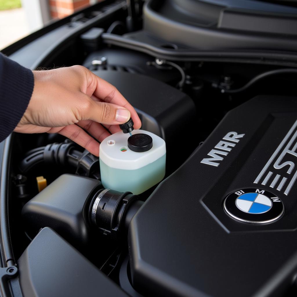 Checking Brake Fluid Level in BMW X5