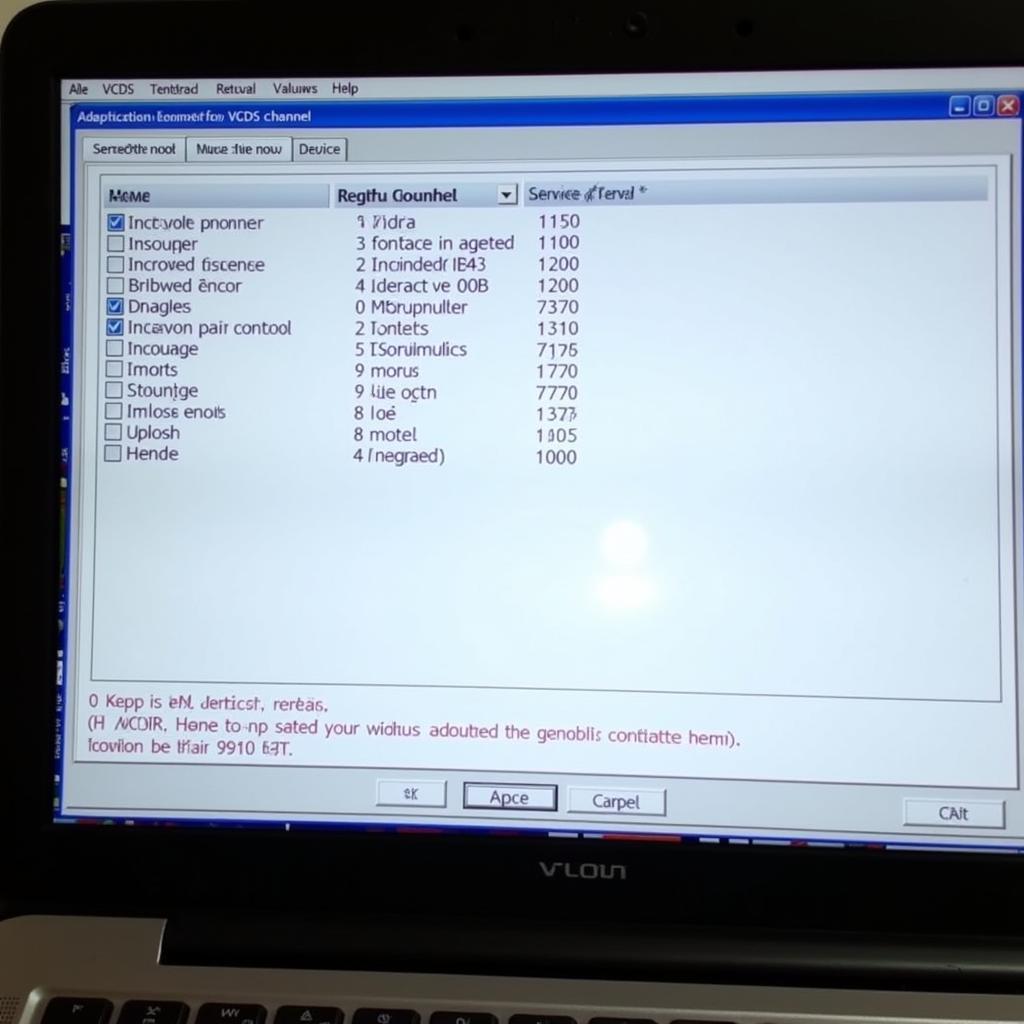 VCDS Software Interface for Service Reset