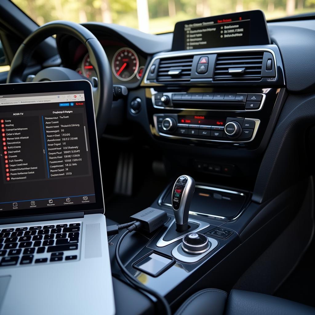 Using diagnostic software on a BMW