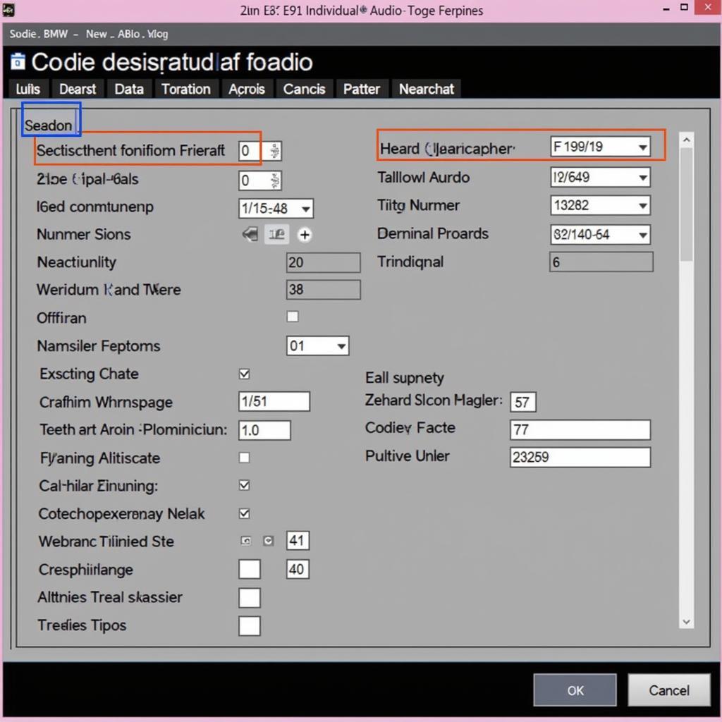 BMW E92 Individual Audio Coding Interface