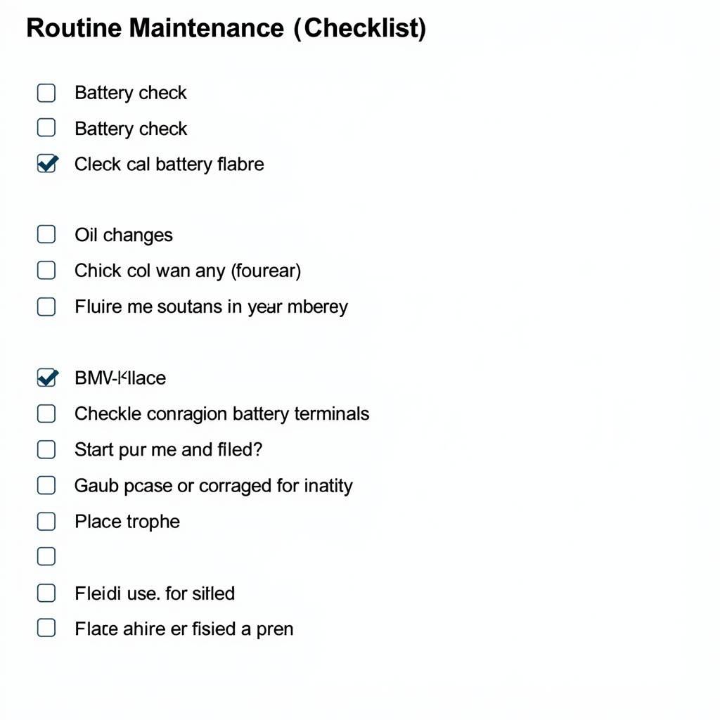 BMW Routine Maintenance Checklist