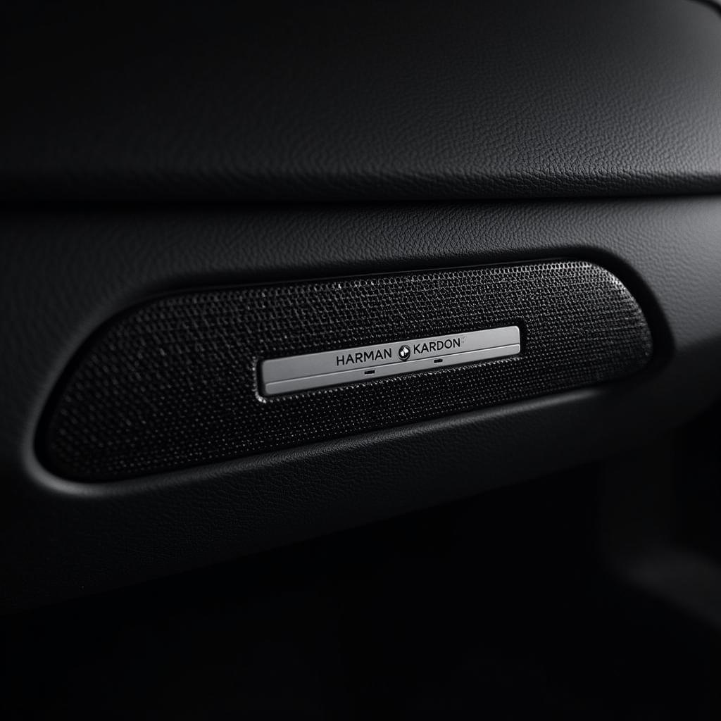 BMW X1 2023 Harman Kardon Speaker