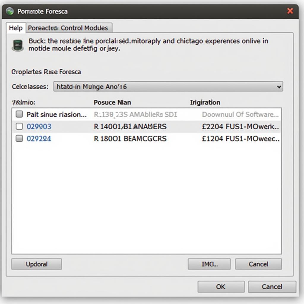 Foresca Software Programming a Porsche Module