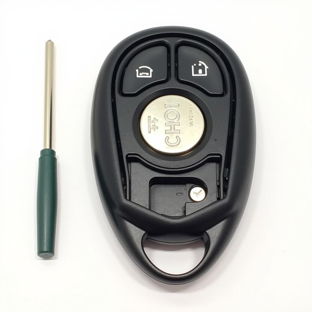 Mini Cooper Key Fob Opened with New Battery