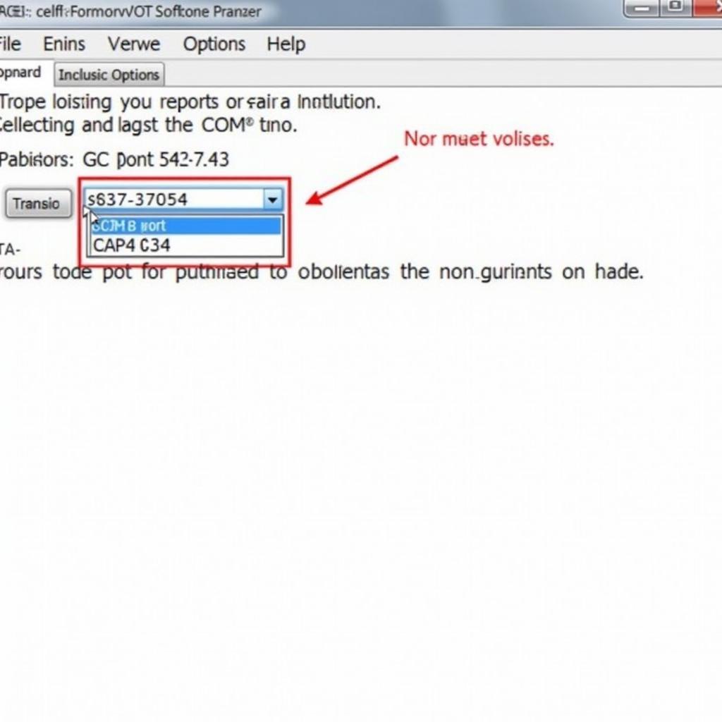 VCDS Software Options and COM Port Selection