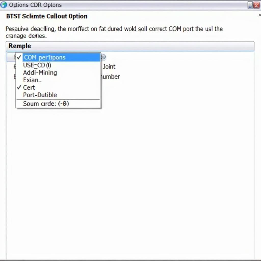 VCDS Software Options Screen Displaying Correct COM Port Selection