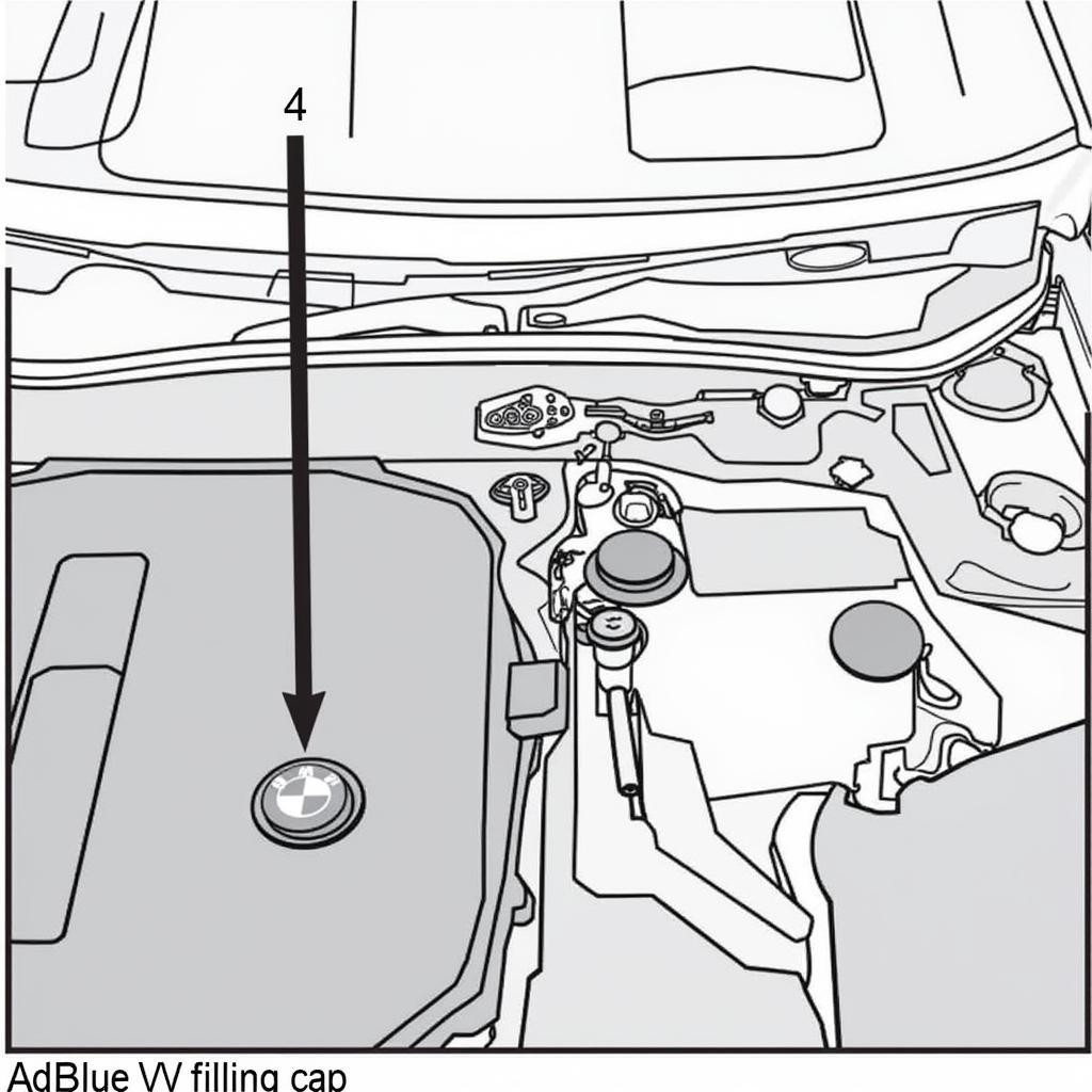 Location of the AdBlue Tank in a BMW