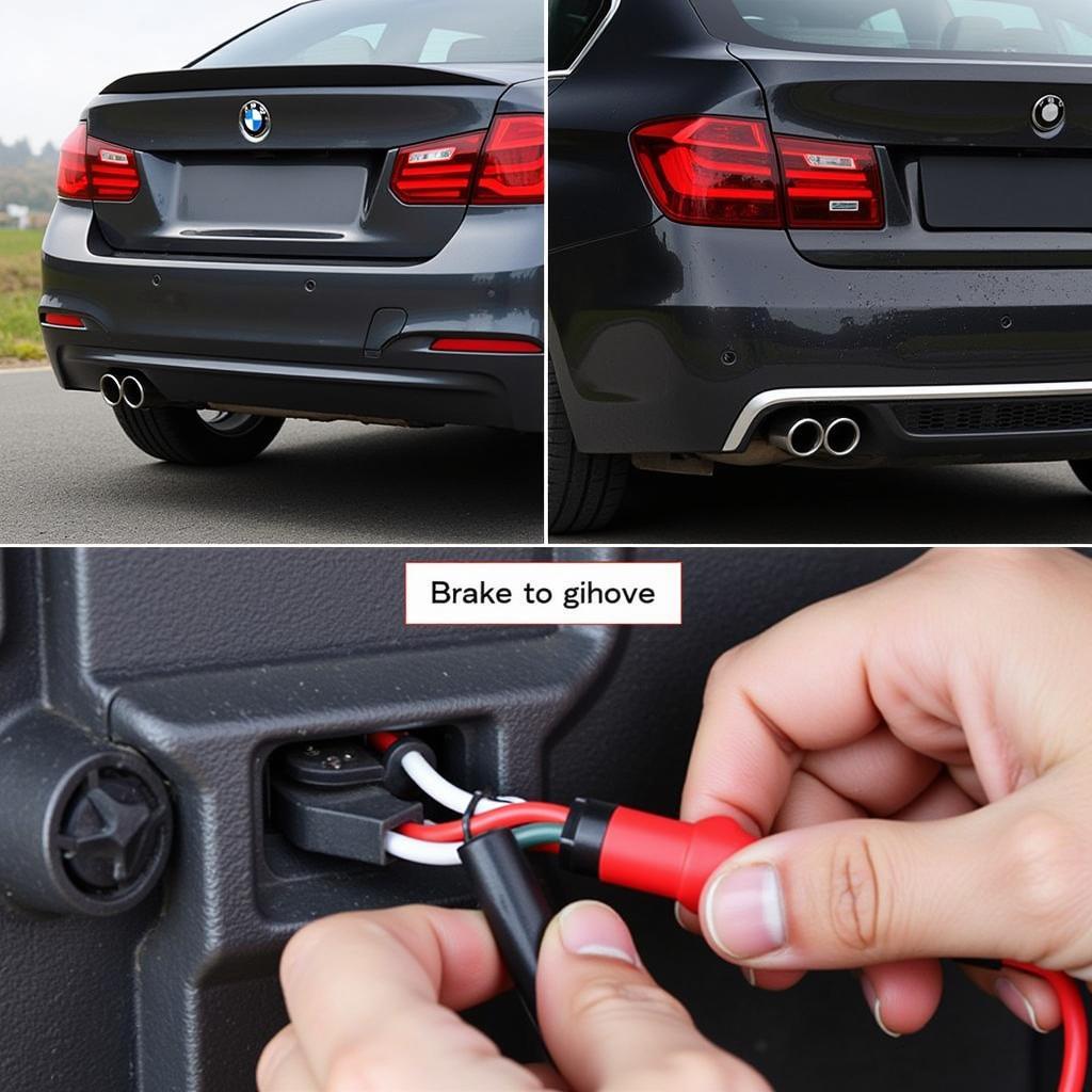 Inspecting BMW Brake Light Wiring for Damage