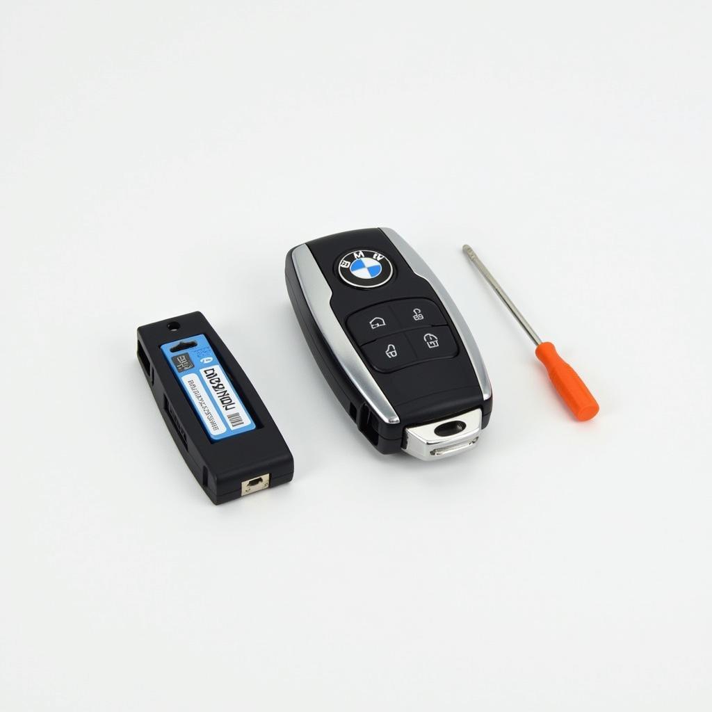 BMW Key Fob Battery Replacement Tools