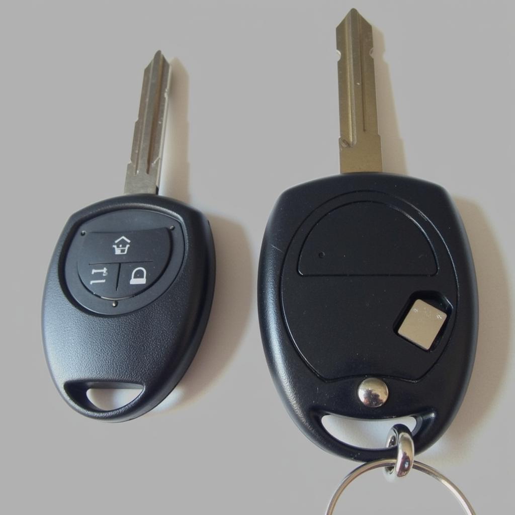 Close-up of Car Key with Transponder Chip