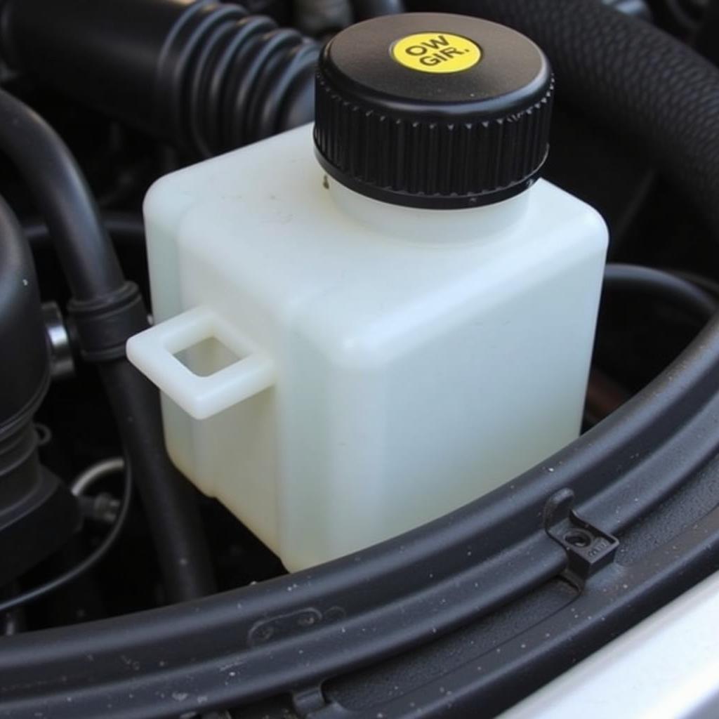 Low Brake Fluid Reservoir in 2010 Ford F150