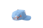 El Dreamer DR Hat - Image 4