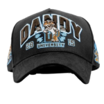 Dandy University Snapback Hat